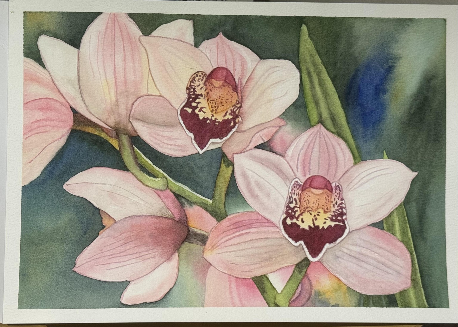 Orchids - image 1 - student project