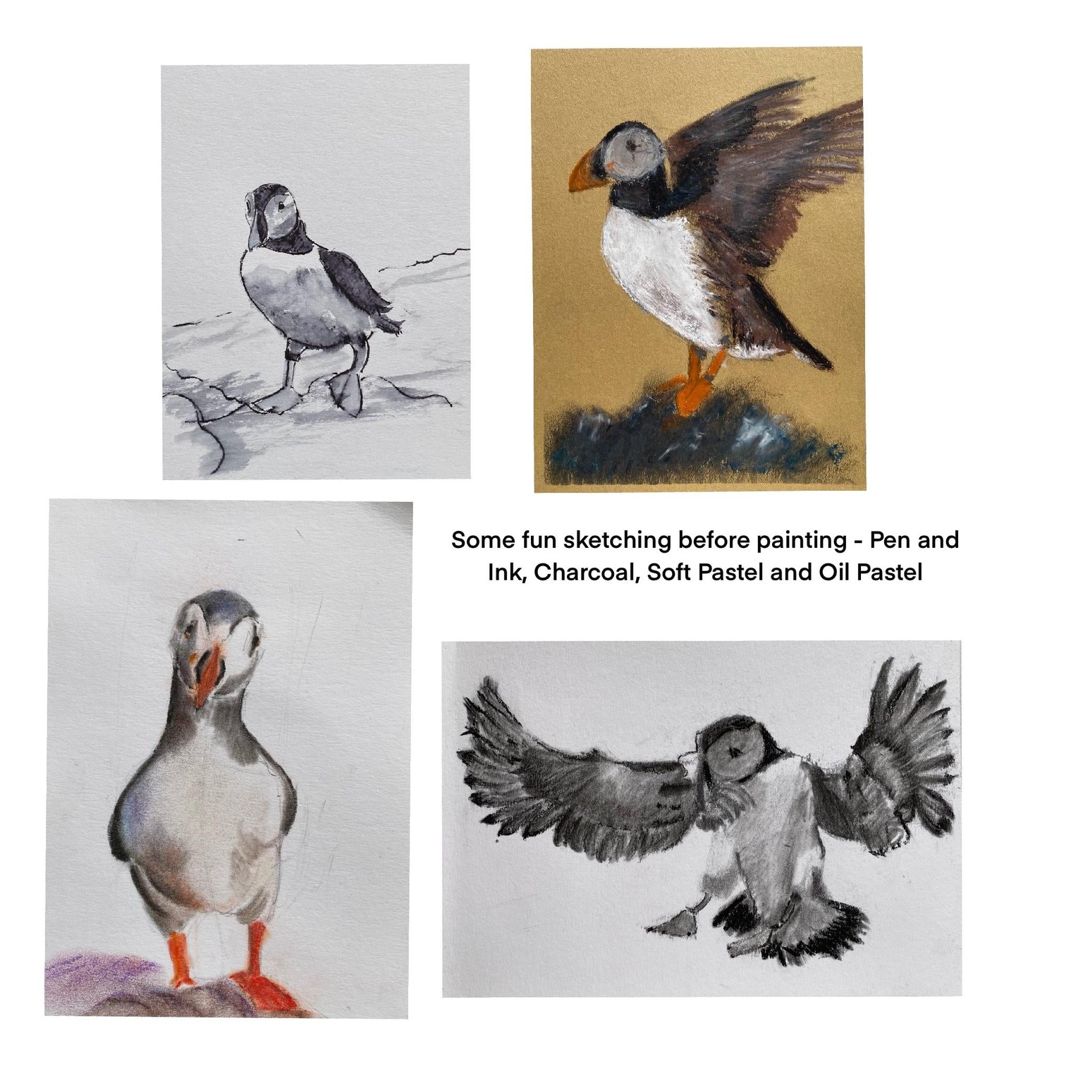 Puffin in watercolour - image 4 - student project