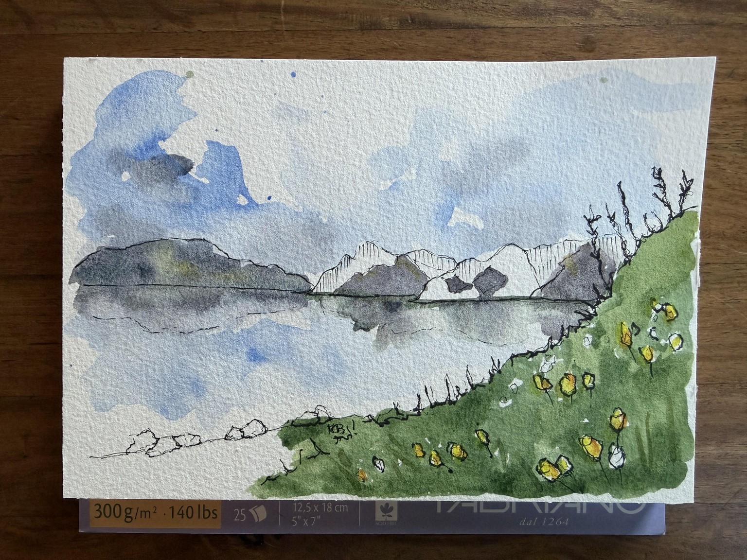 Loose ink and watercolor landscape - image 1 - student project