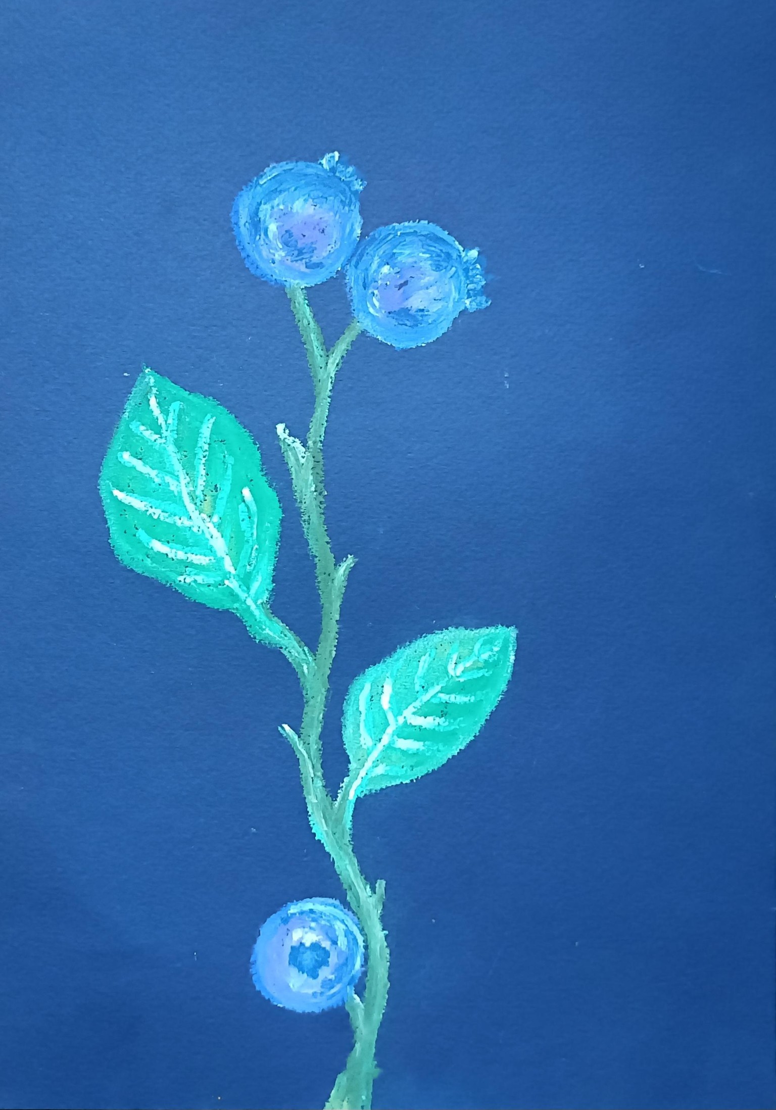 Blueberry branches - image 6 - student project