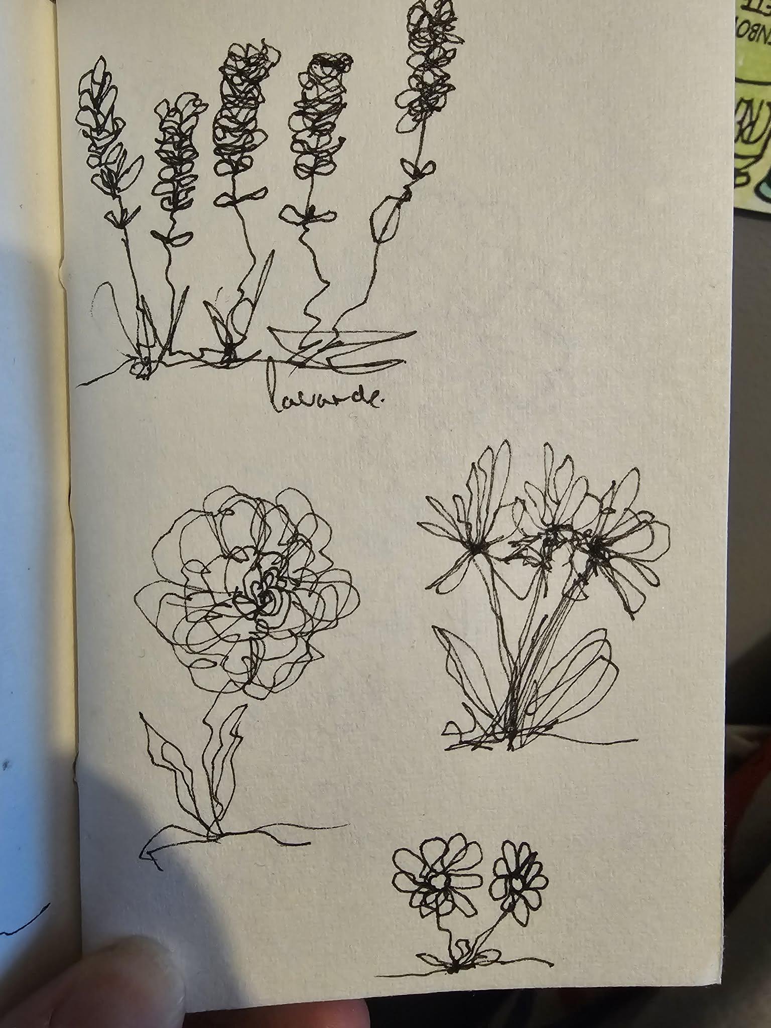 Quelques dessins de fleurs en un seul trait - image 2 - student project