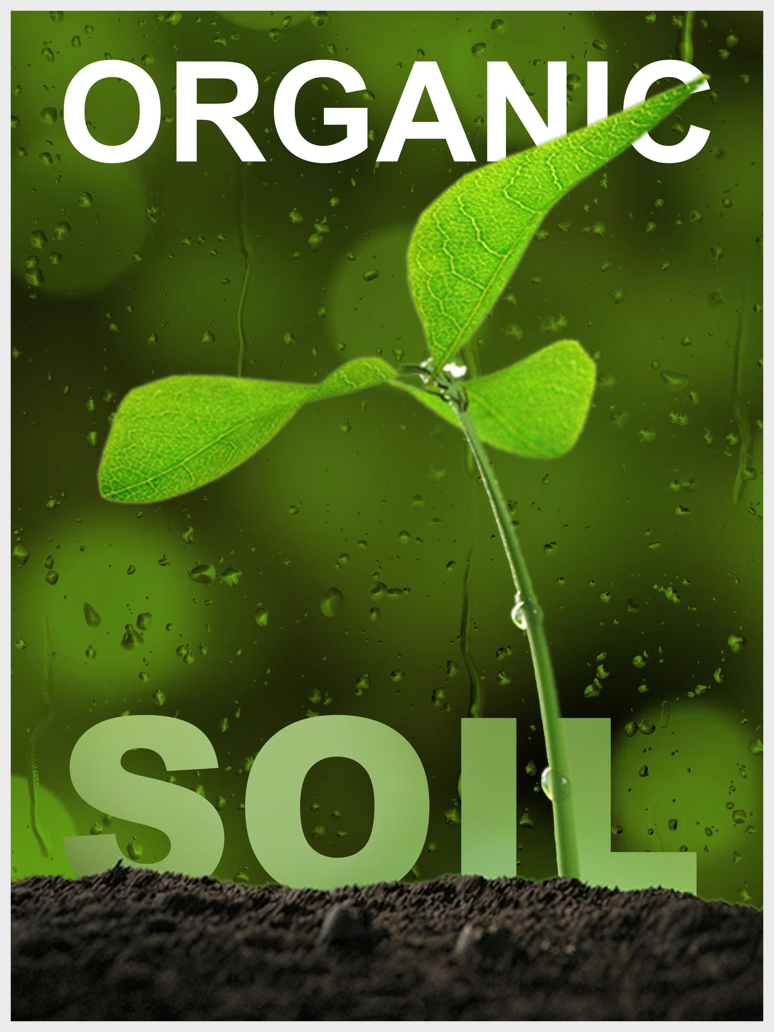 Organic Soil - image 1 - student project