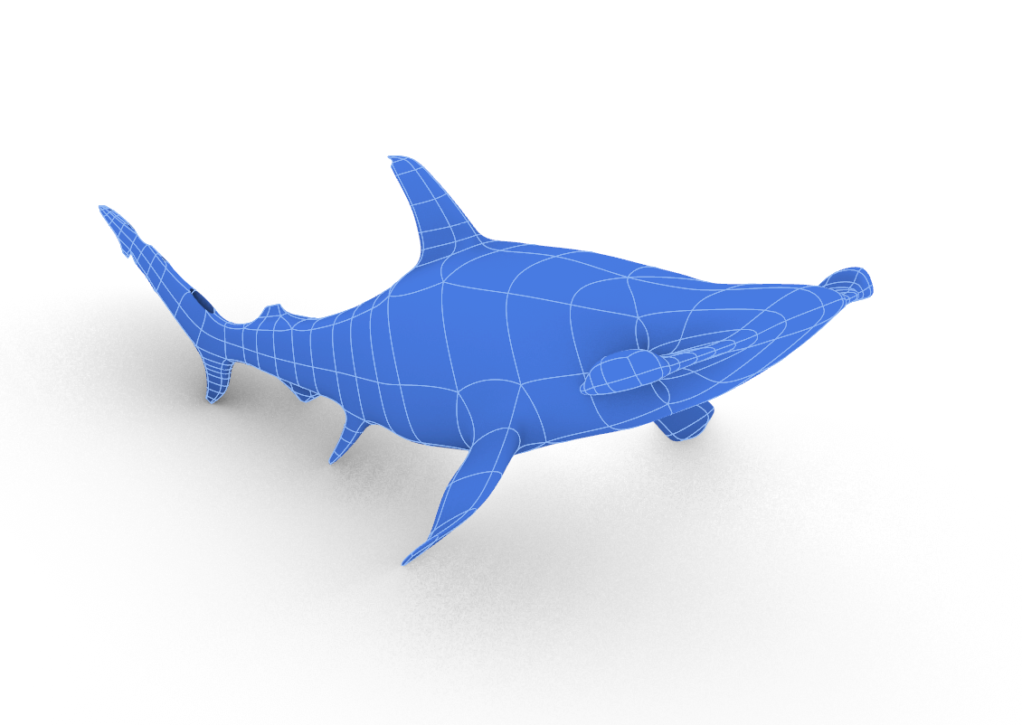 Hammer Head Shark - image 1 - student project