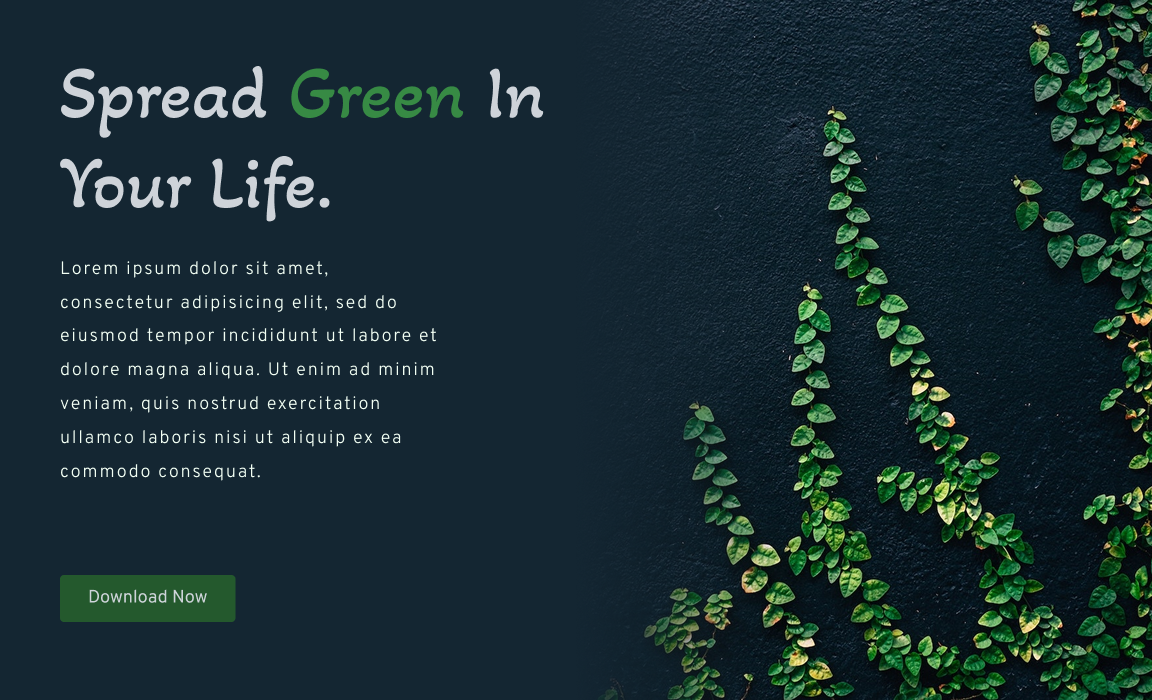 Project Assignment Submissions - image 16 - student project