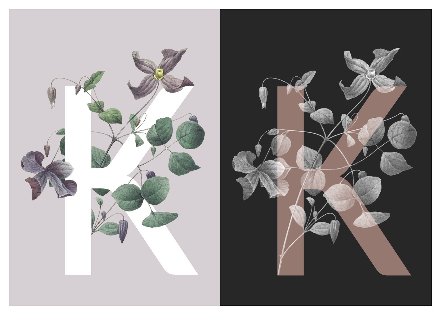Botanical Design Exploration - image 8 - student project