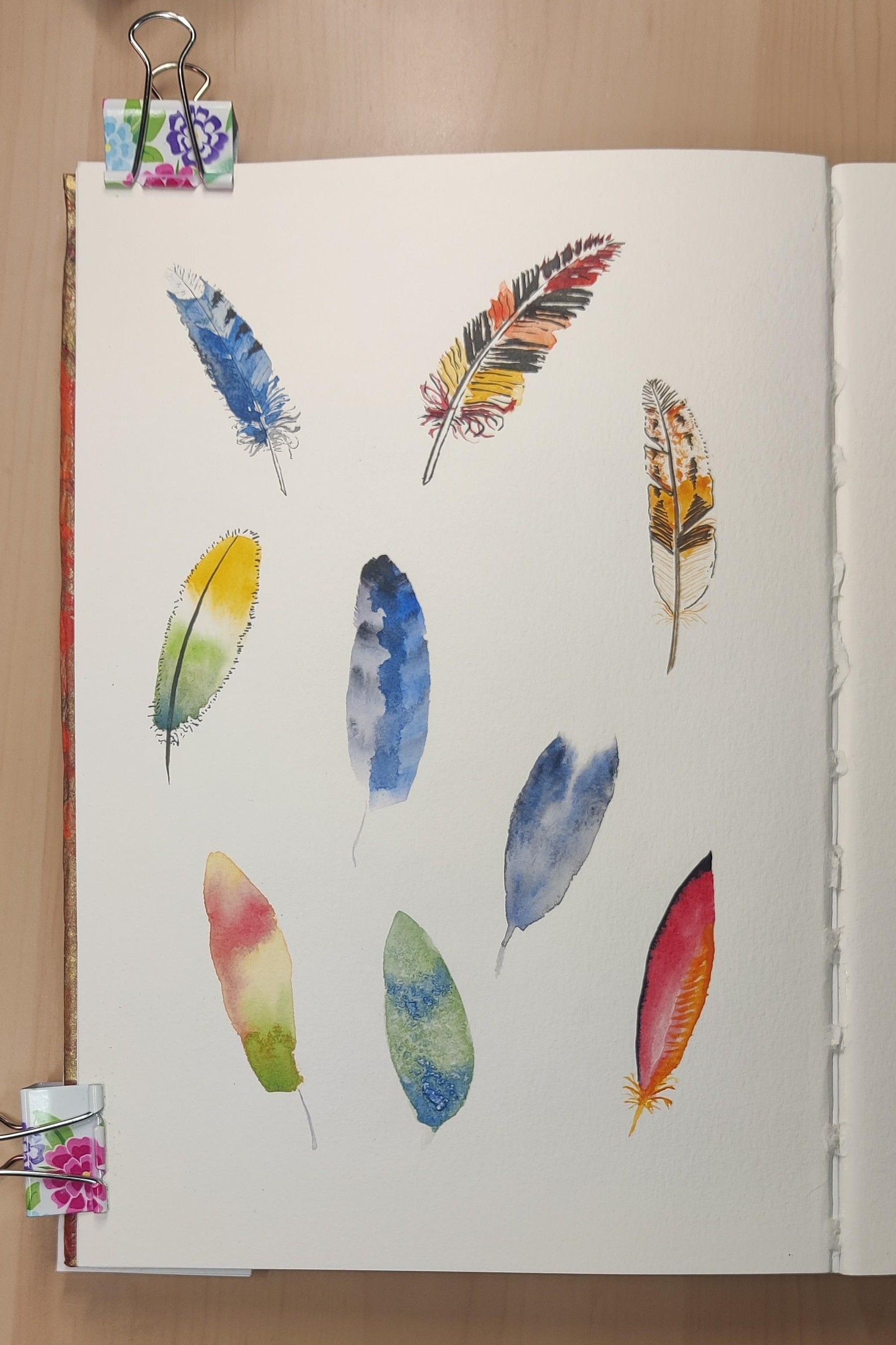 Watercolor & Ink Feathers - image 1 - student project
