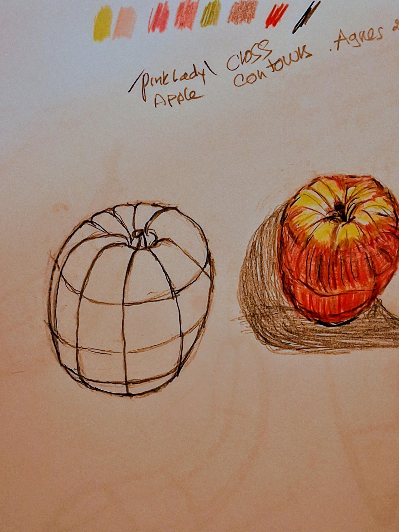 The language of line. - image 3 - student project