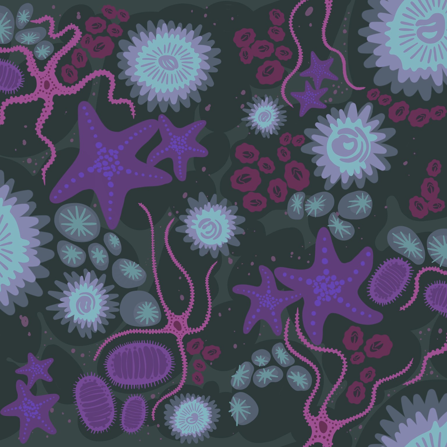 Half Drop Tide Pool - image 2 - student project