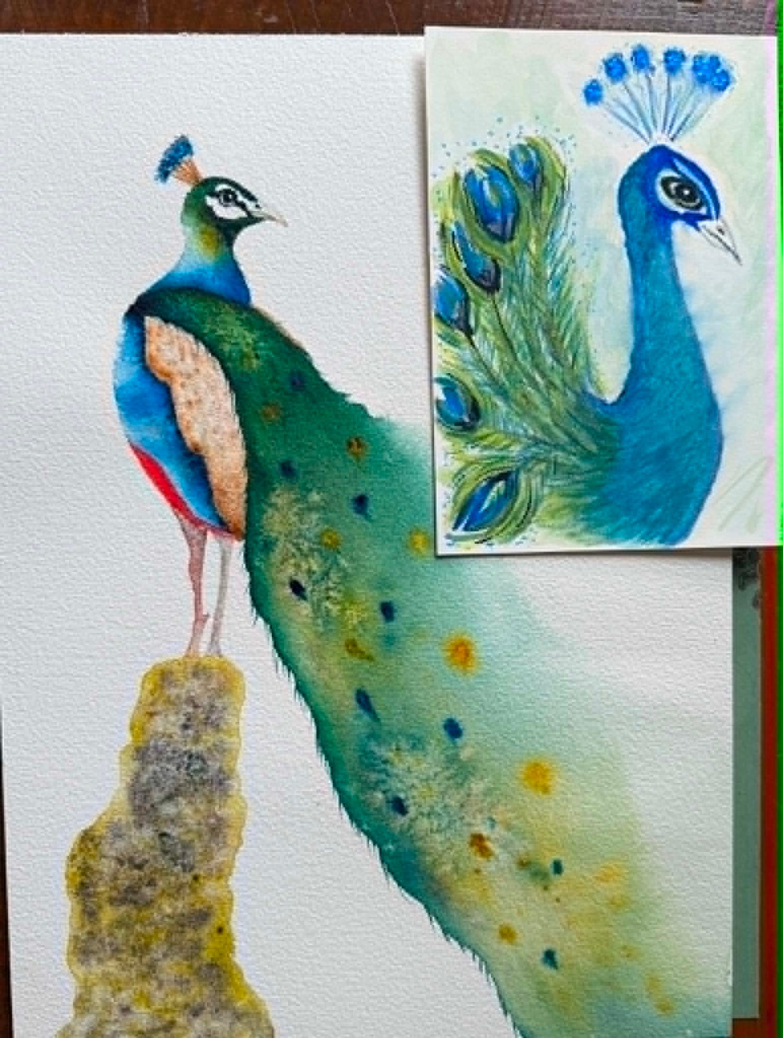 Mr Peacock - image 2 - student project
