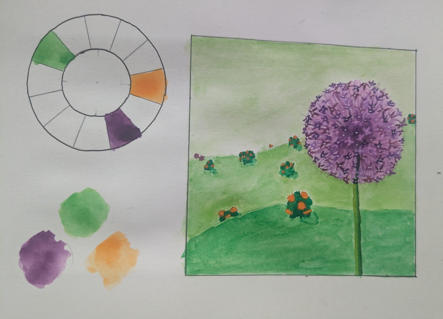 Split Complementary Allium - image 1 - student project