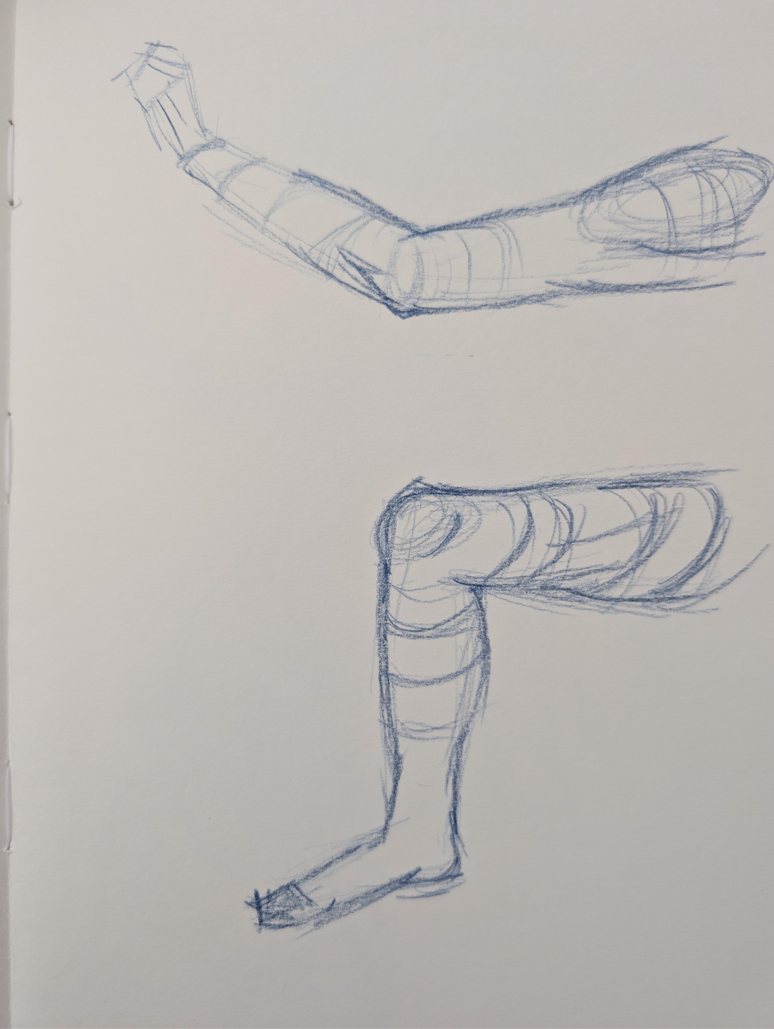 Beginner Figure Drawing Fundamentals - Gesture and Construction - image 5 - student project