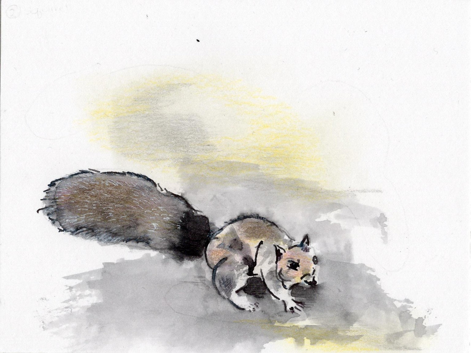 Postcards from here - image 10 - student project