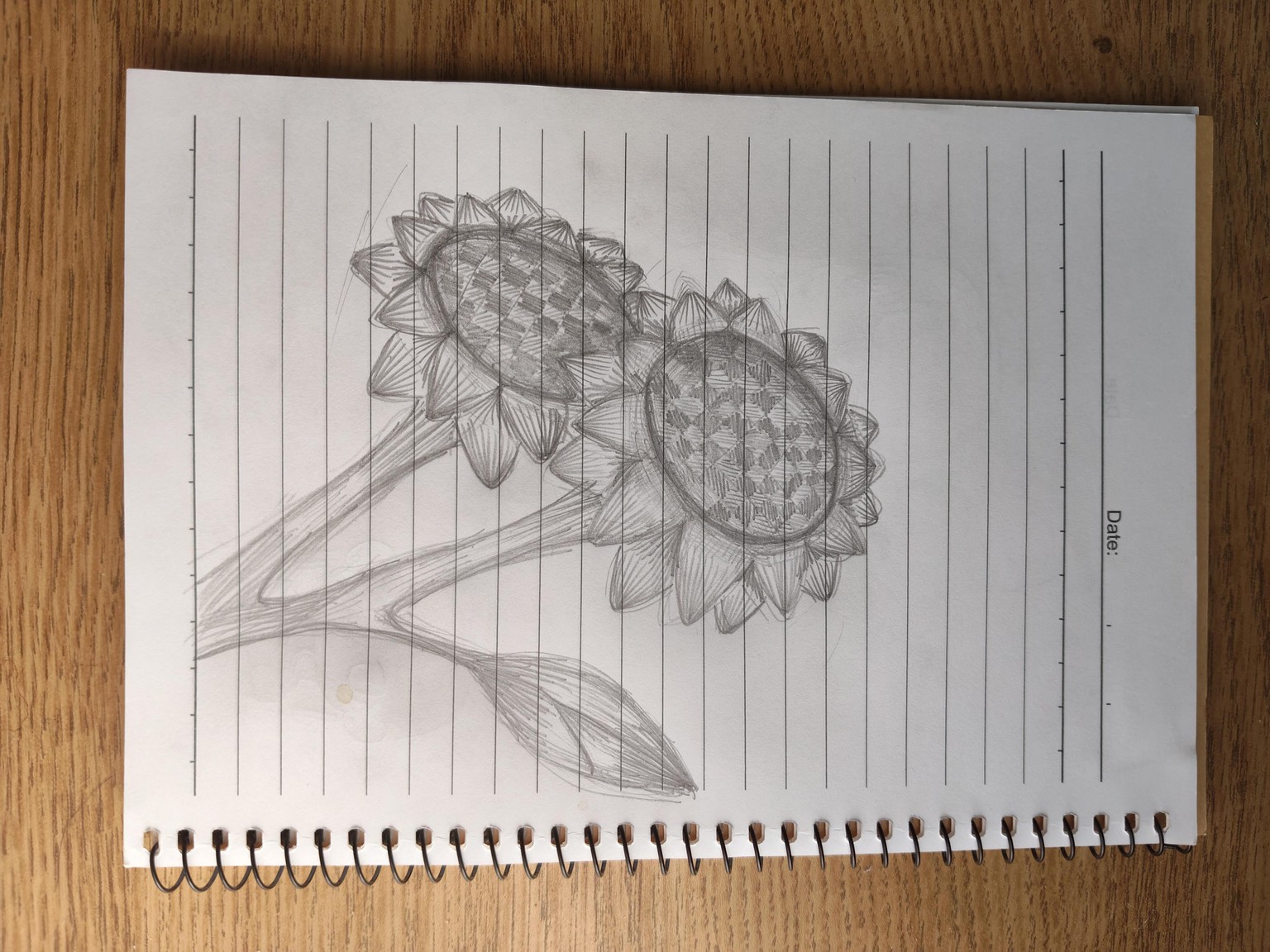 Sunflower - image 1 - student project