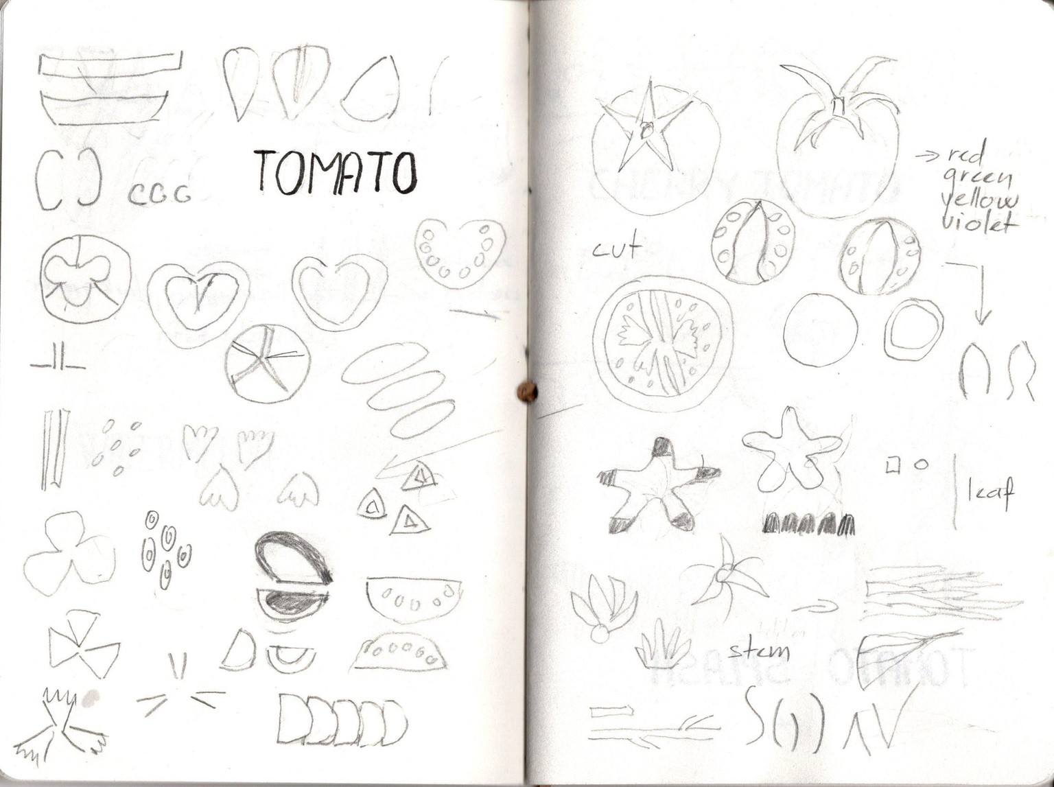 Tomato Chalenge - image 2 - student project