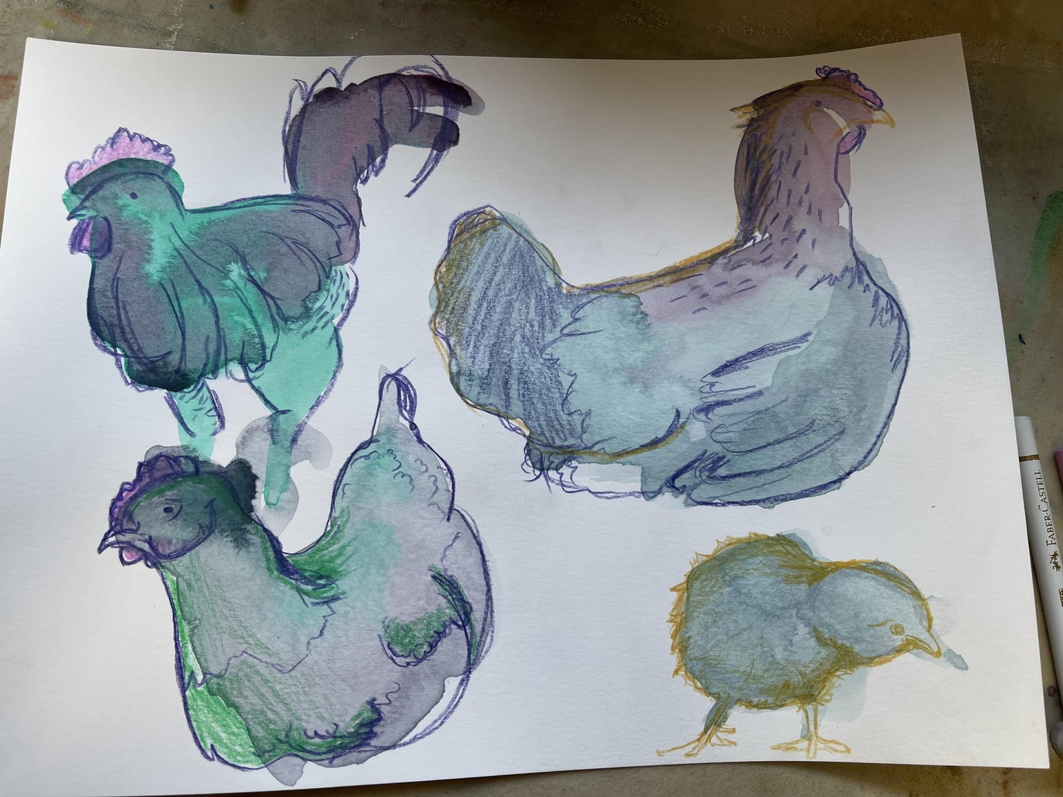 Speedy Chickens x8 - image 1 - student project
