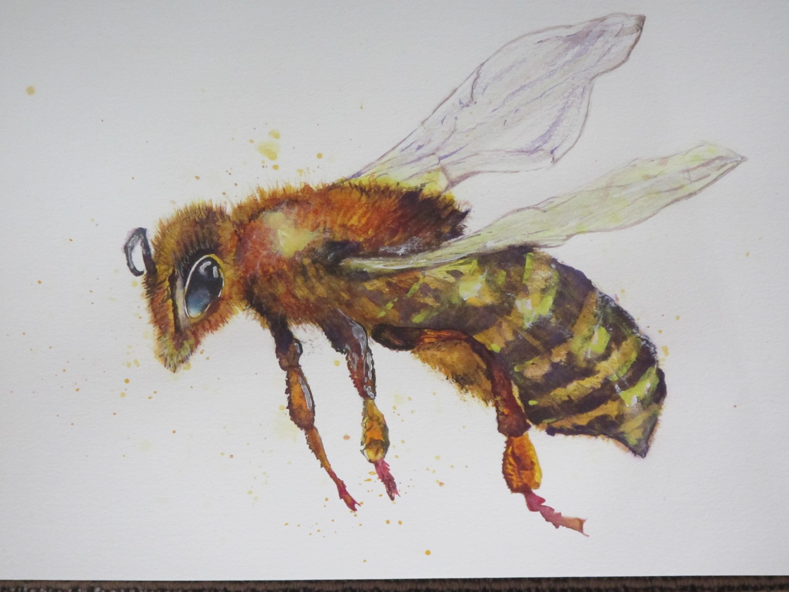 January Honey Bee - image 1 - student project