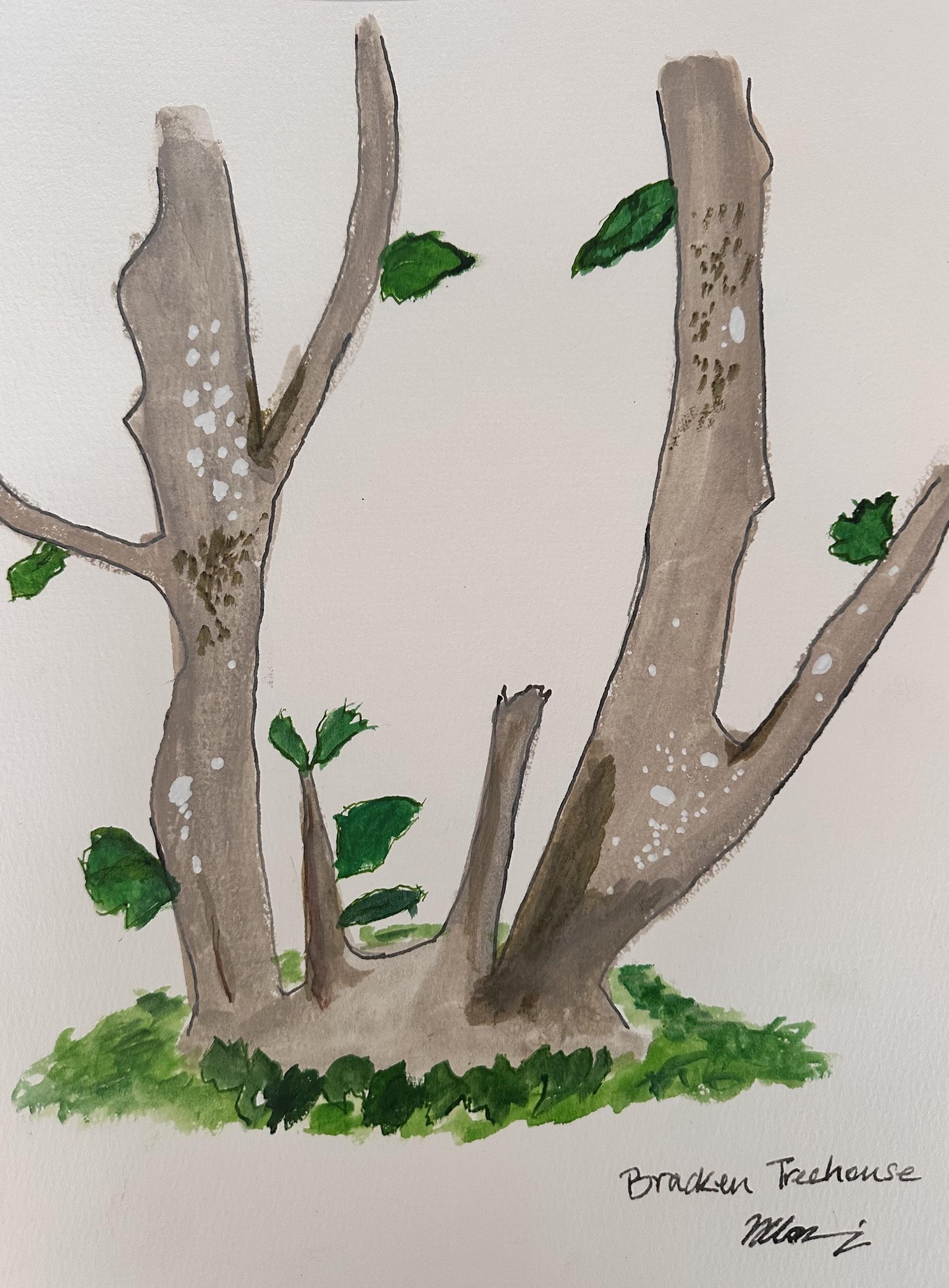 Finding myself in Airdit - image 1 - student project