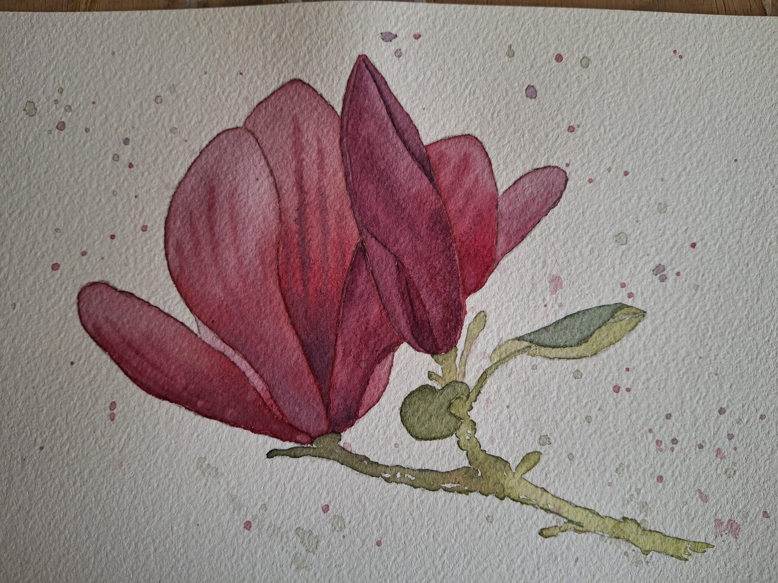 Improving magnolias - image 2 - student project