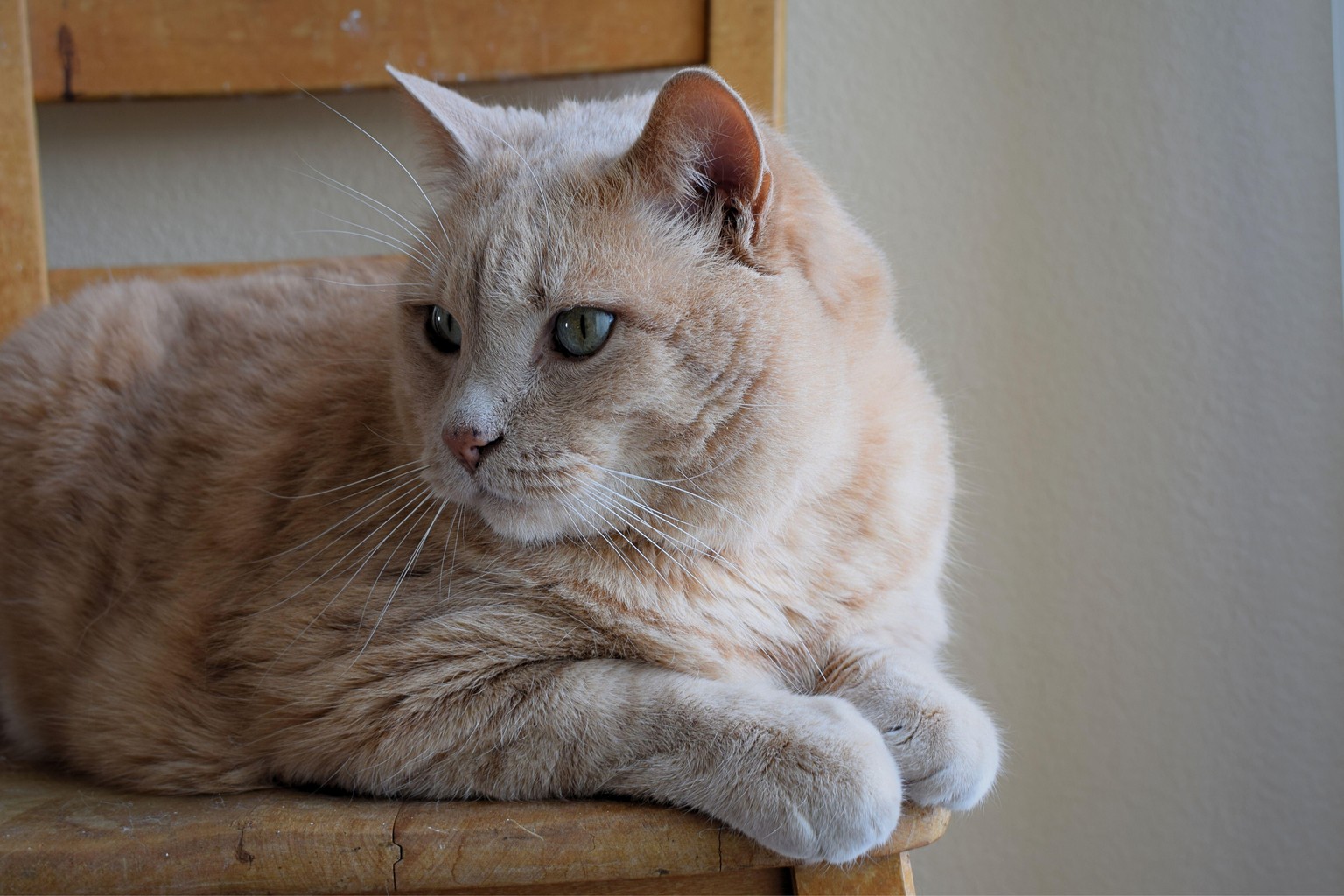 Max's photoshoot - image 1 - student project
