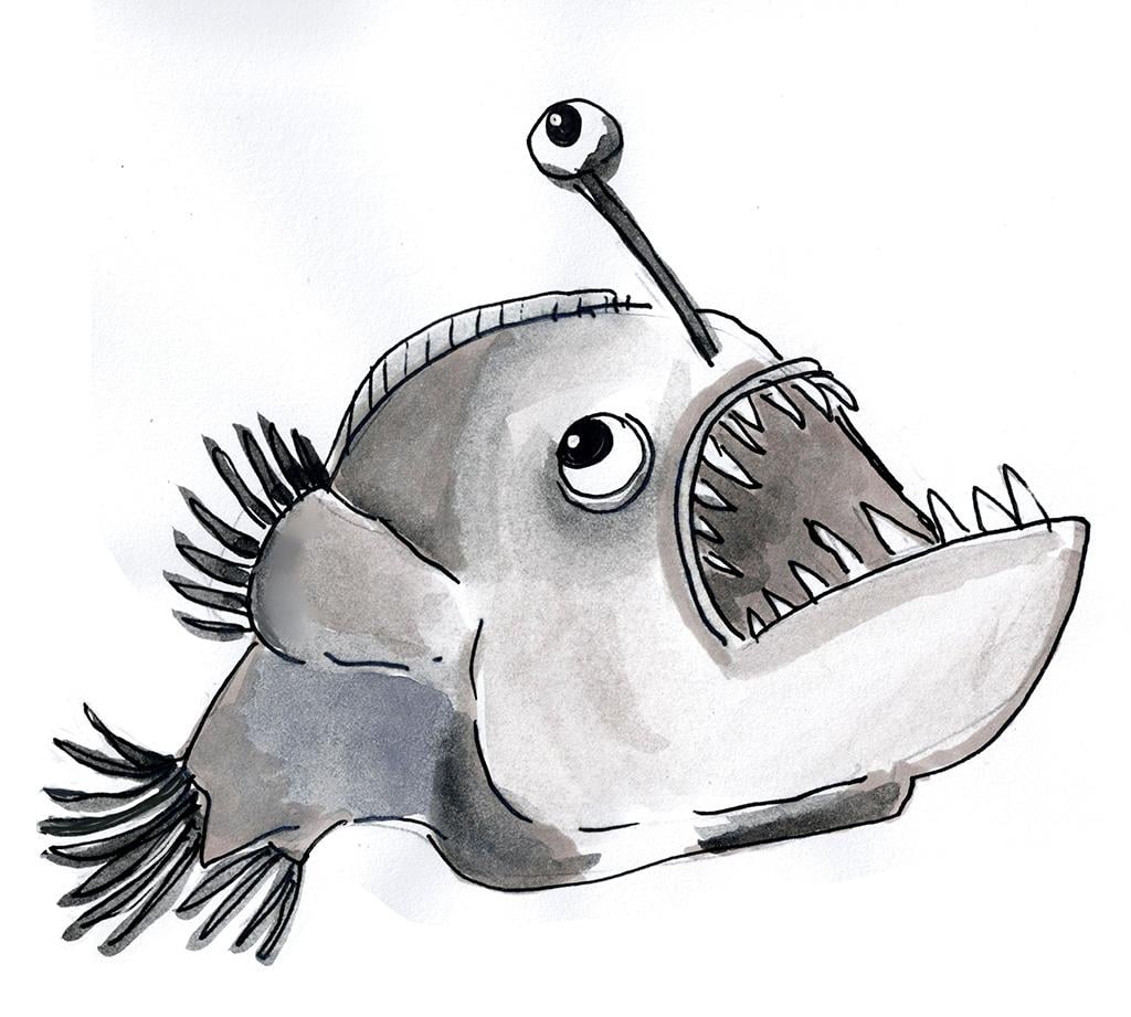 Another fun lot of exercises. - image 1 - student project