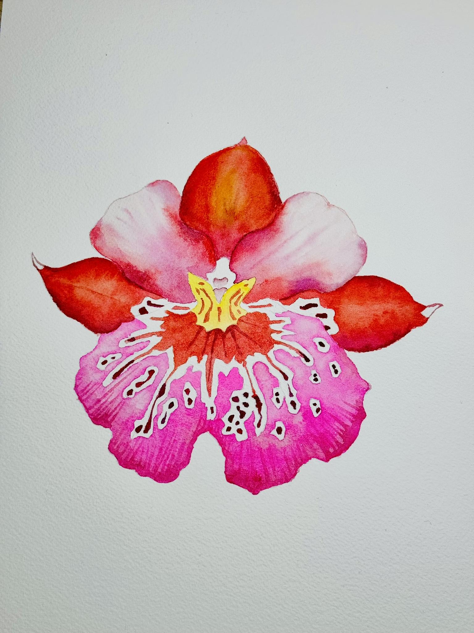 3 Orchids - image 3 - student project