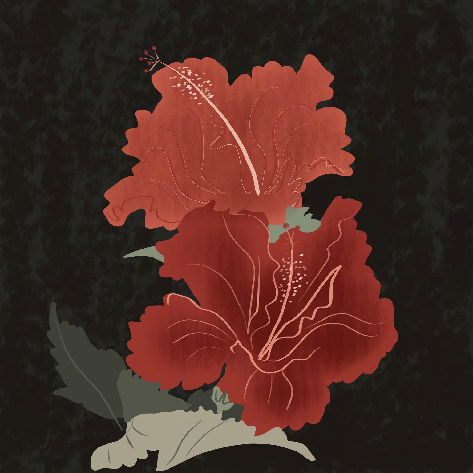 Sri Lankan Hibiscus - image 1 - student project