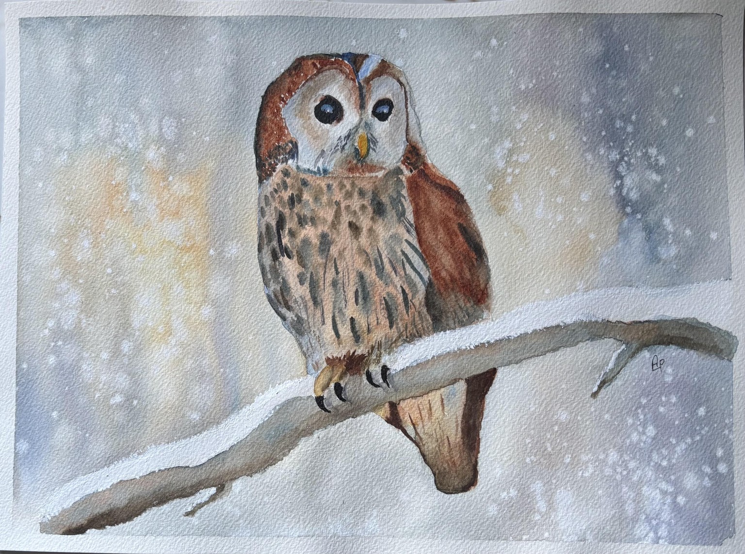 Winter Owl - image 1 - student project