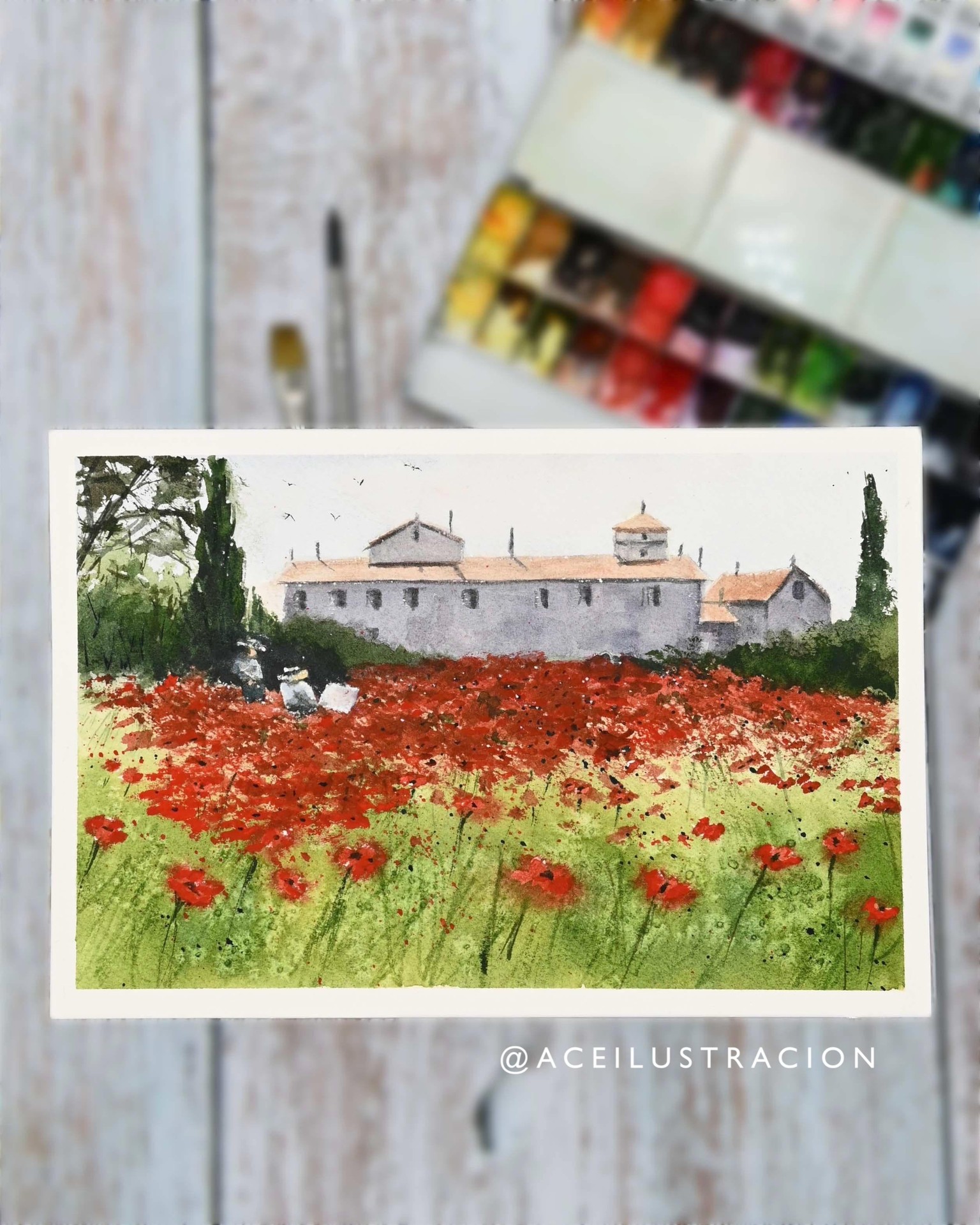 Poppy Field.  A Watercolor Master Study To Learn Atmosphere and Techniques from the artist Joseph Zb - image 1 - student project