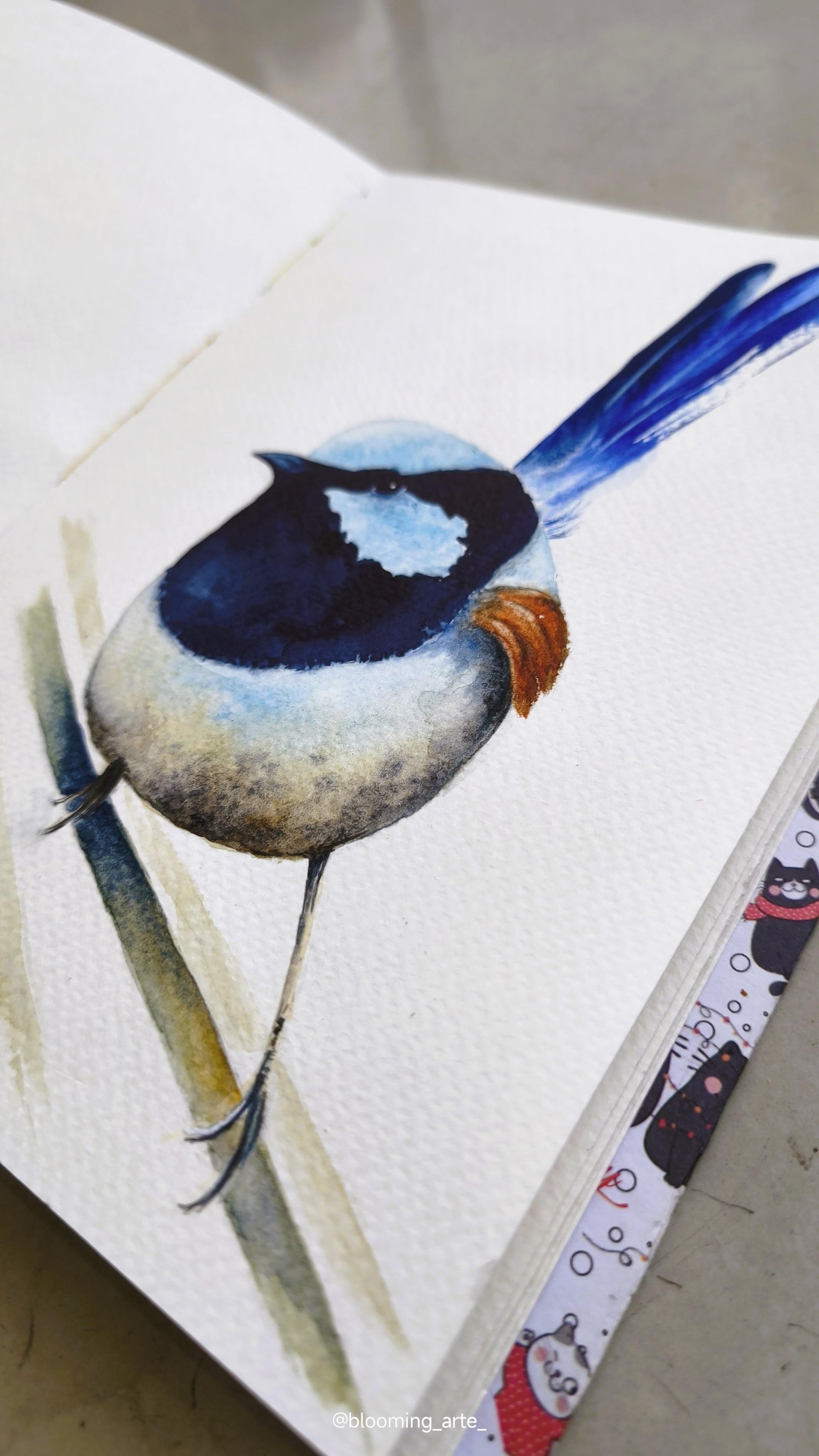 Blue Wren Watercolour - image 3 - student project