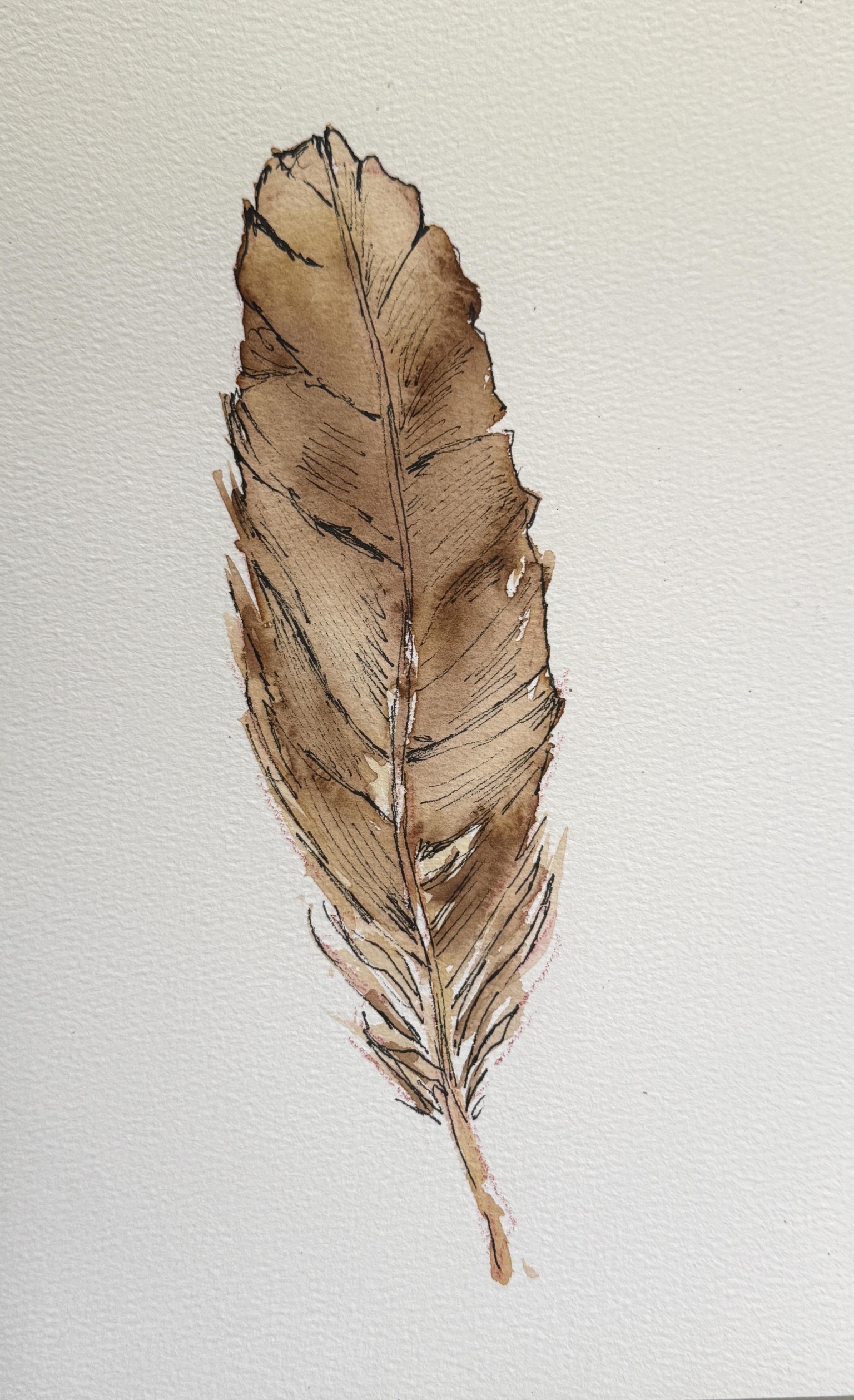 Owl Sketchbook Challenge - image 3 - student project