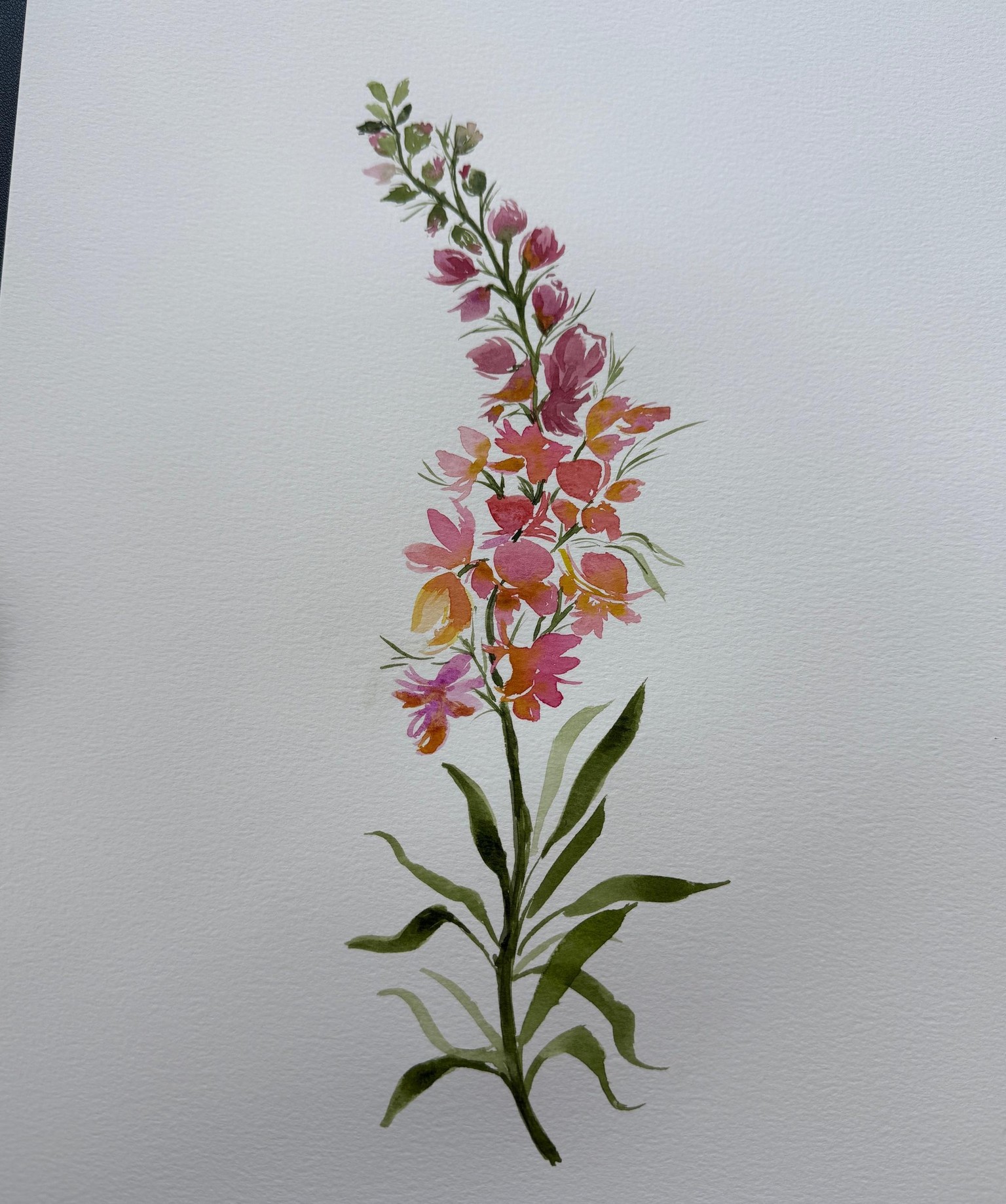 Snapdragon - image 1 - student project