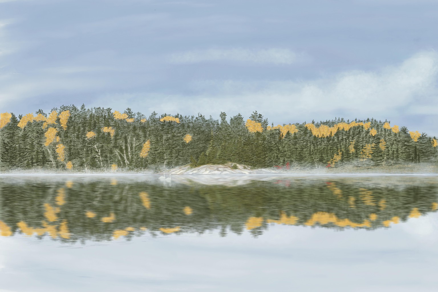 New Reflections on a Swan Song! - image 1 - student project