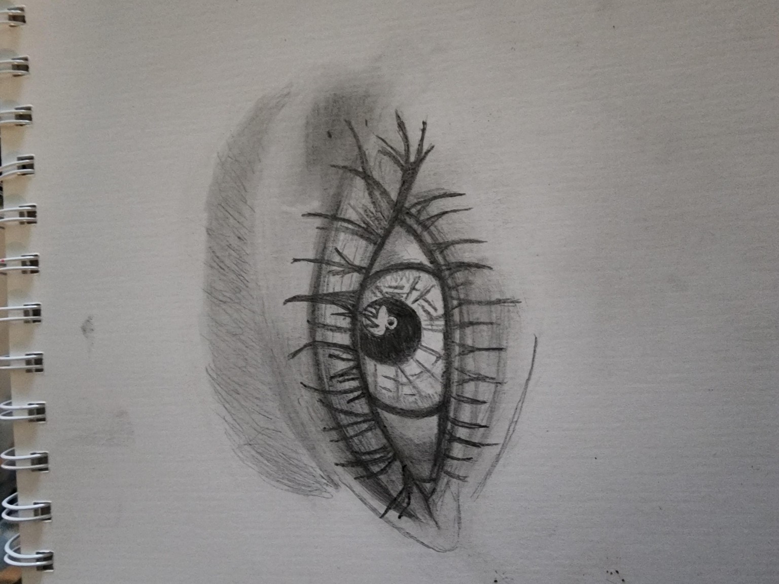 Eye Realism - image 1 - student project