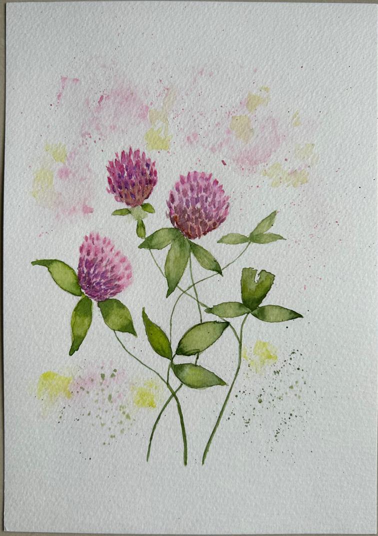 Wildflowers in watercolors - image 7 - student project