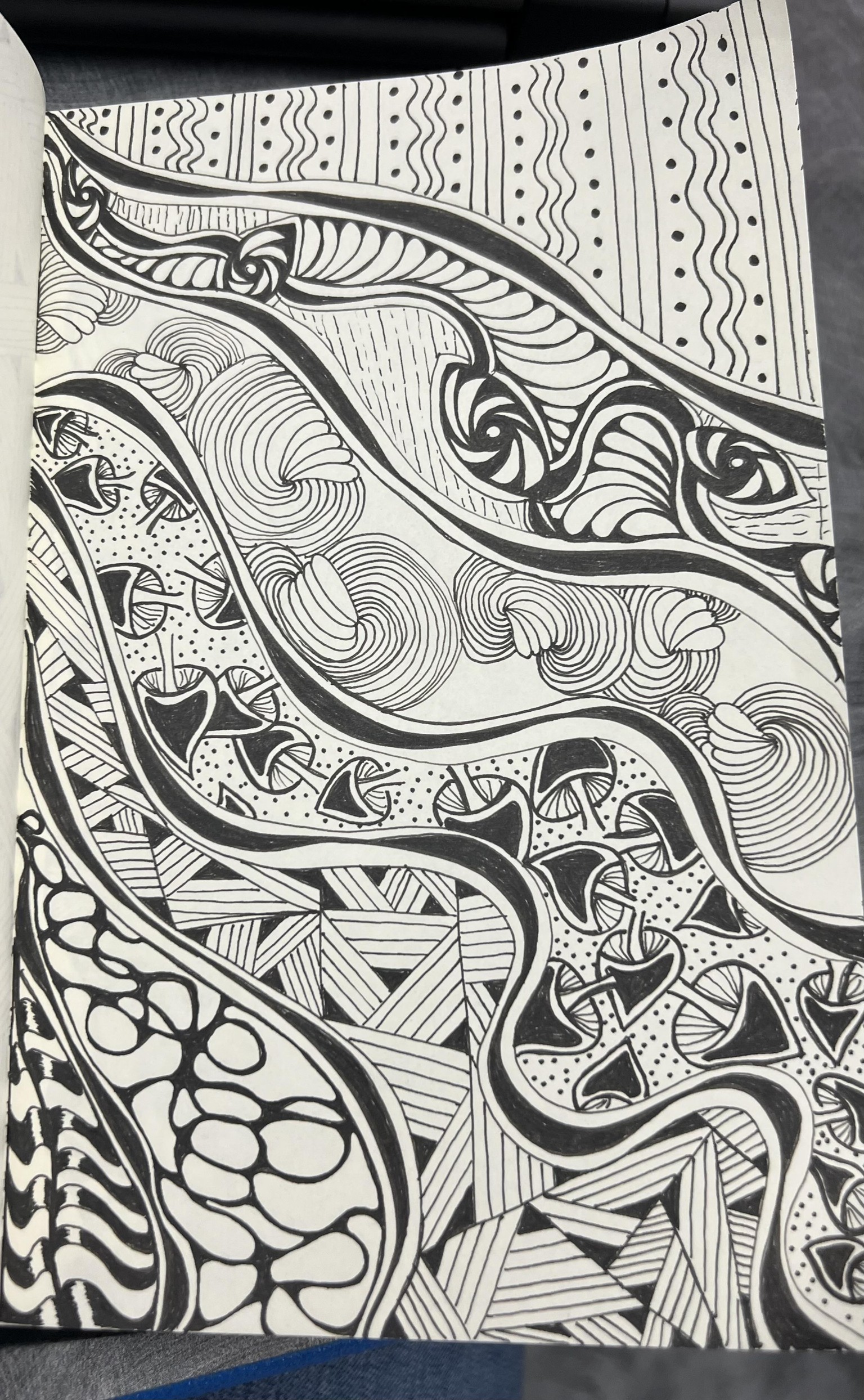 Day 1-45 - image 8 - student project
