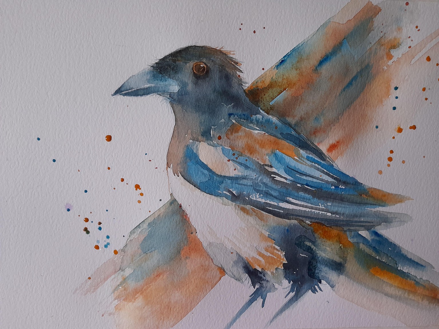 bird - image 1 - student project