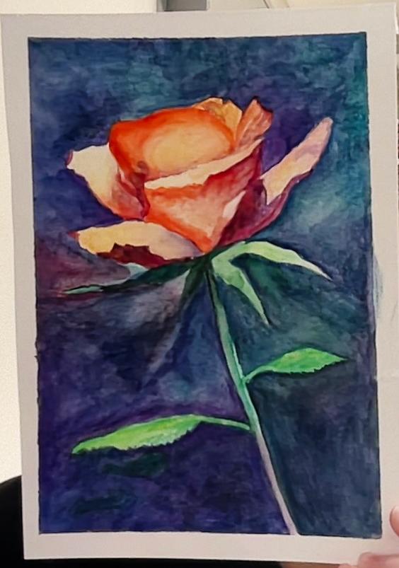 Rose - image 1 - student project