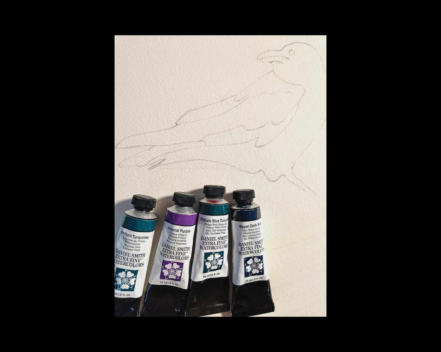 Aquarell - Raven - image 3 - student project