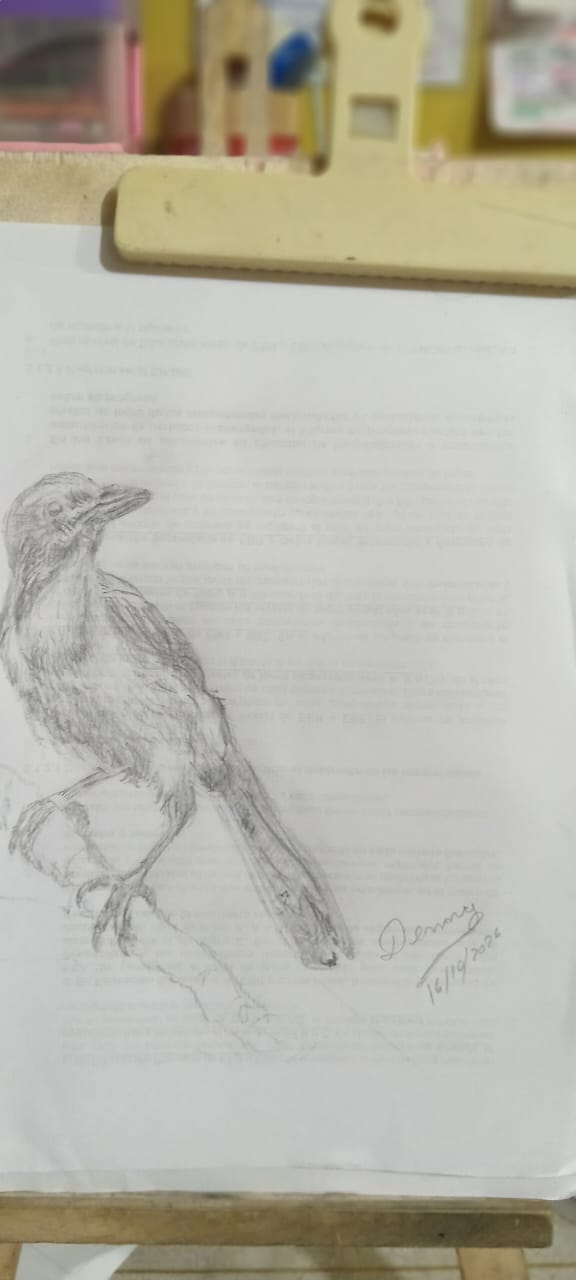 Mi proceso creativo - image 1 - student project