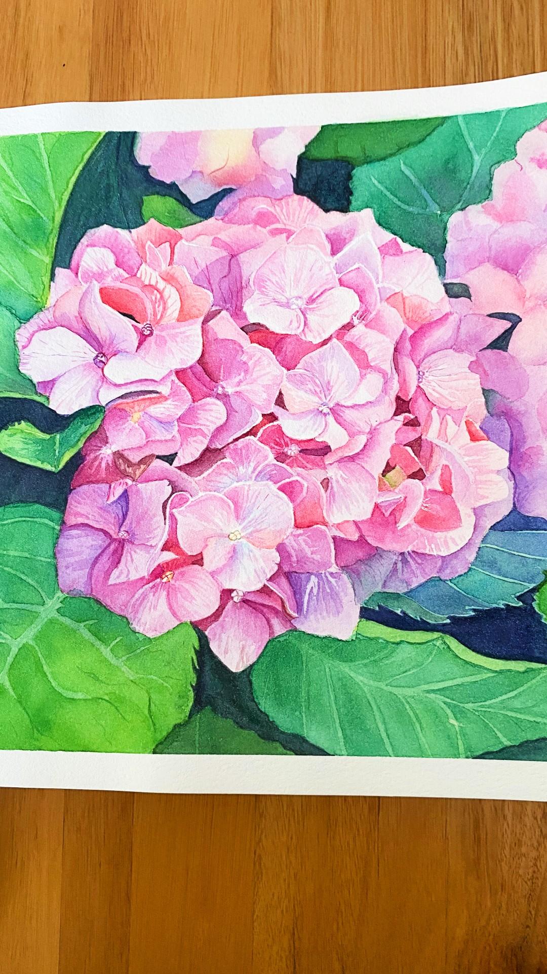 Watercolour Hydrangea - image 1 - student project