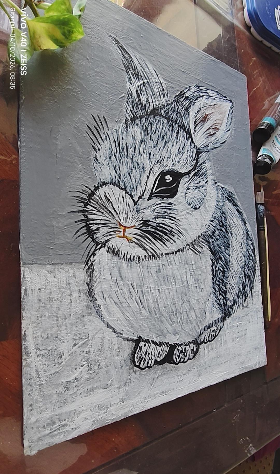 Peter rabbit🐇 - image 5 - student project