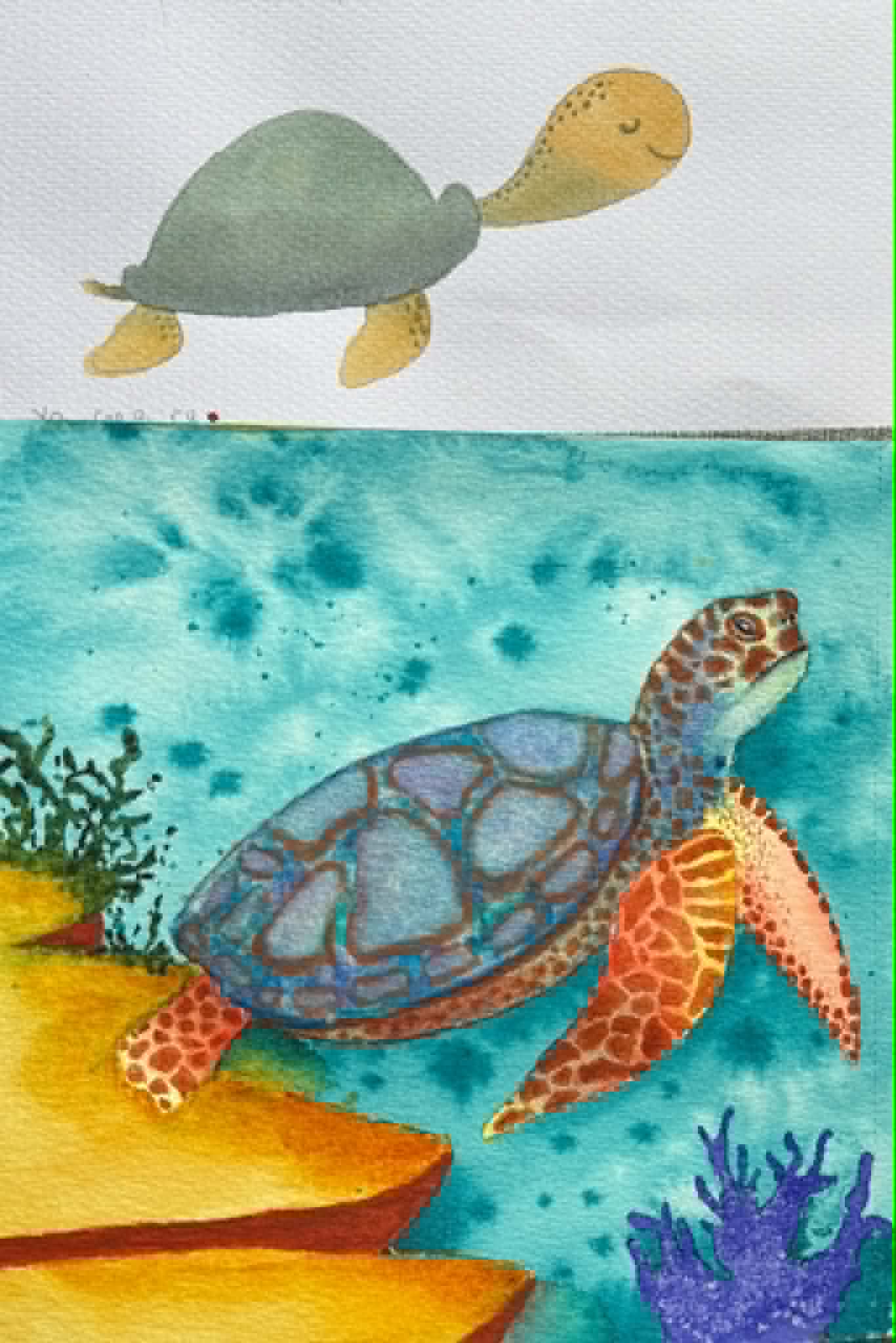 Mr Turtle - image 2 - student project