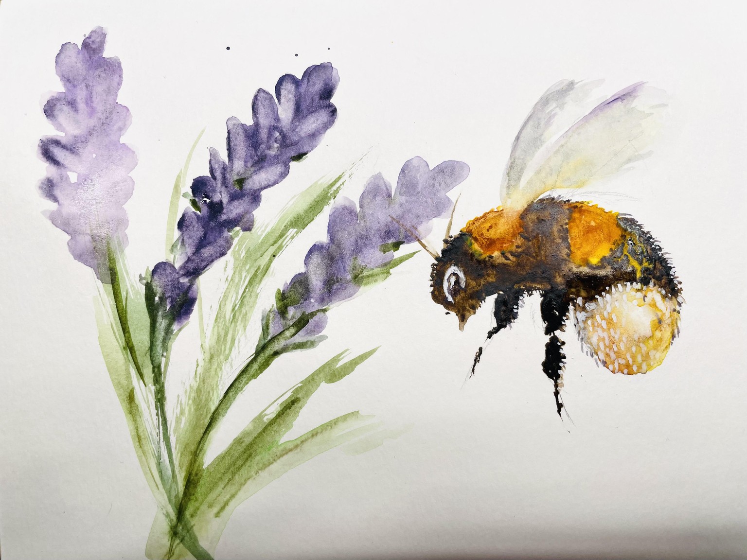 Bumblebee &Lavender - image 1 - student project