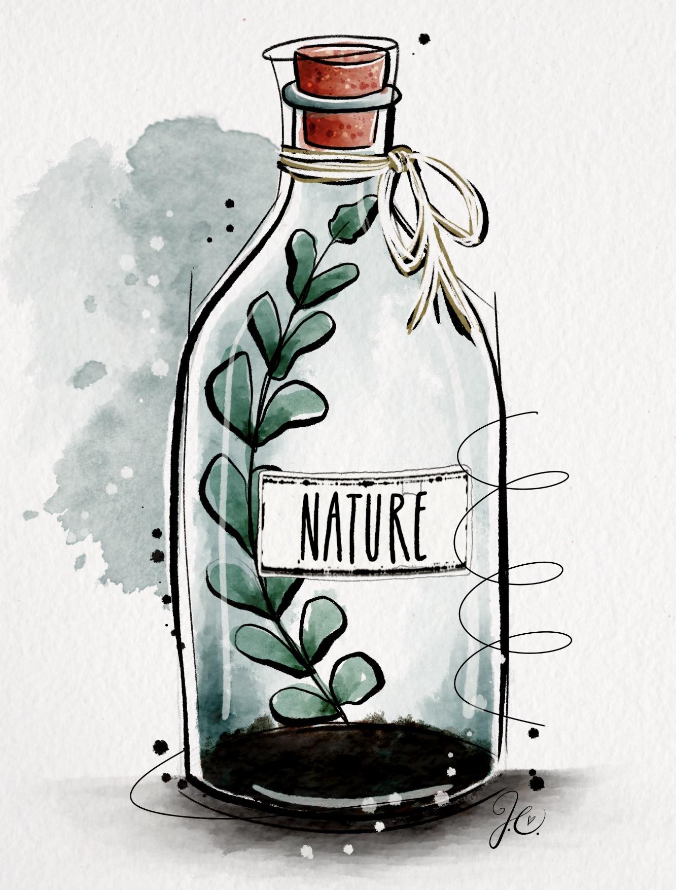 Watercolor Bottle 🩵 - image 1 - student project