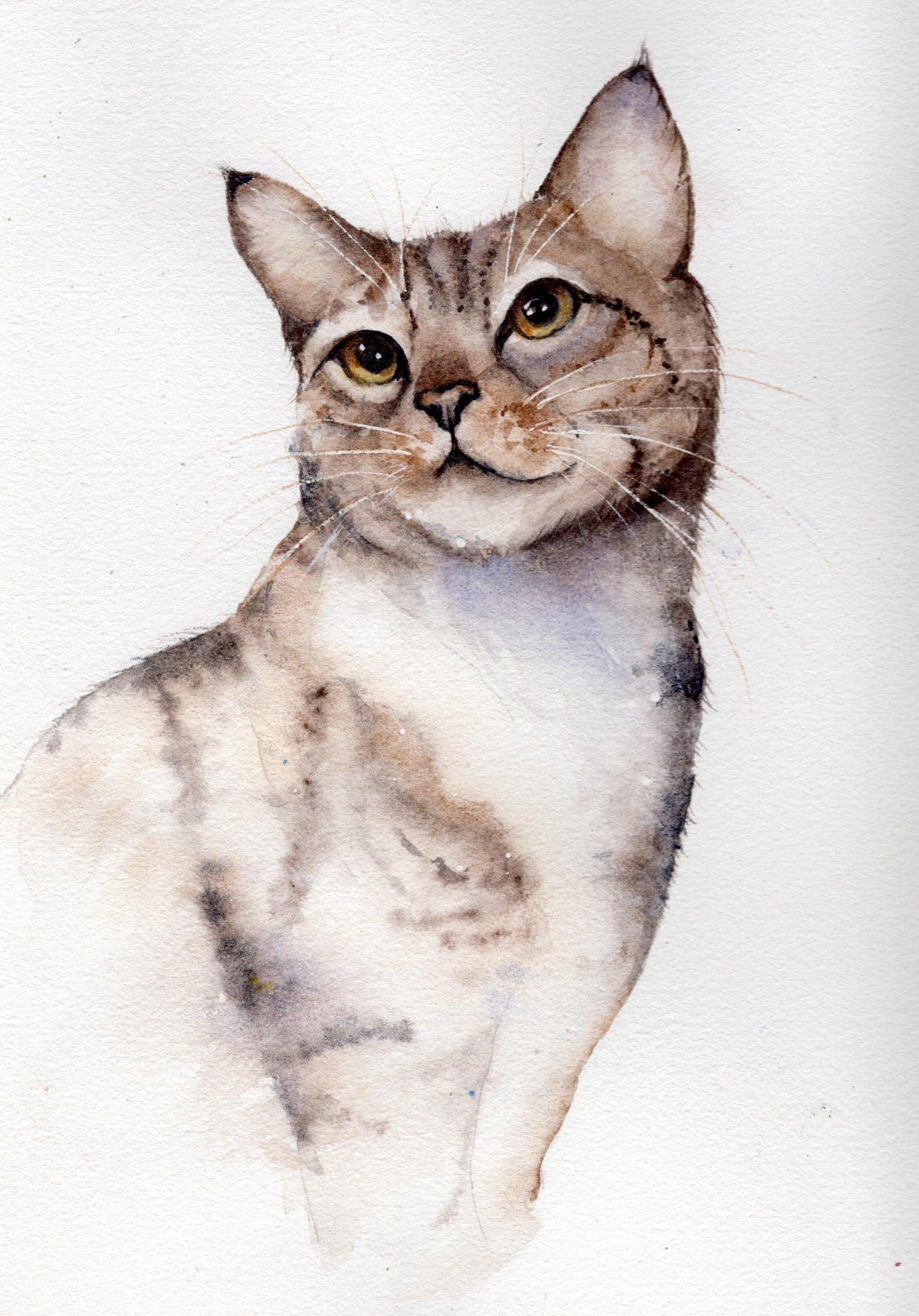 Cat - image 1 - student project
