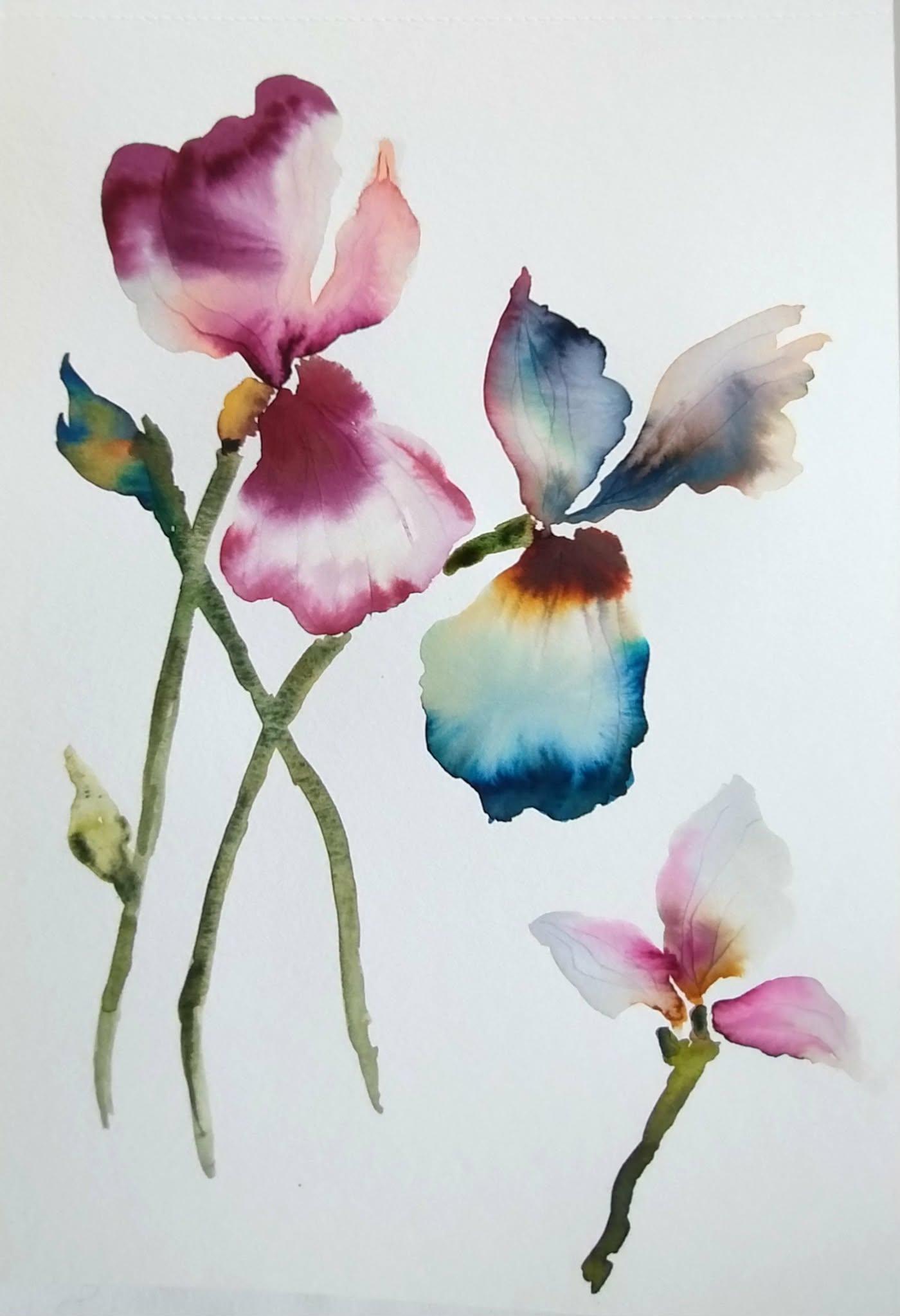 An Iris is a poem written with petals, @alicjaradej - image 1 - student project