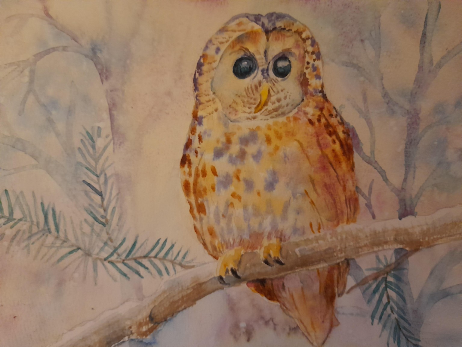 owl - image 1 - student project