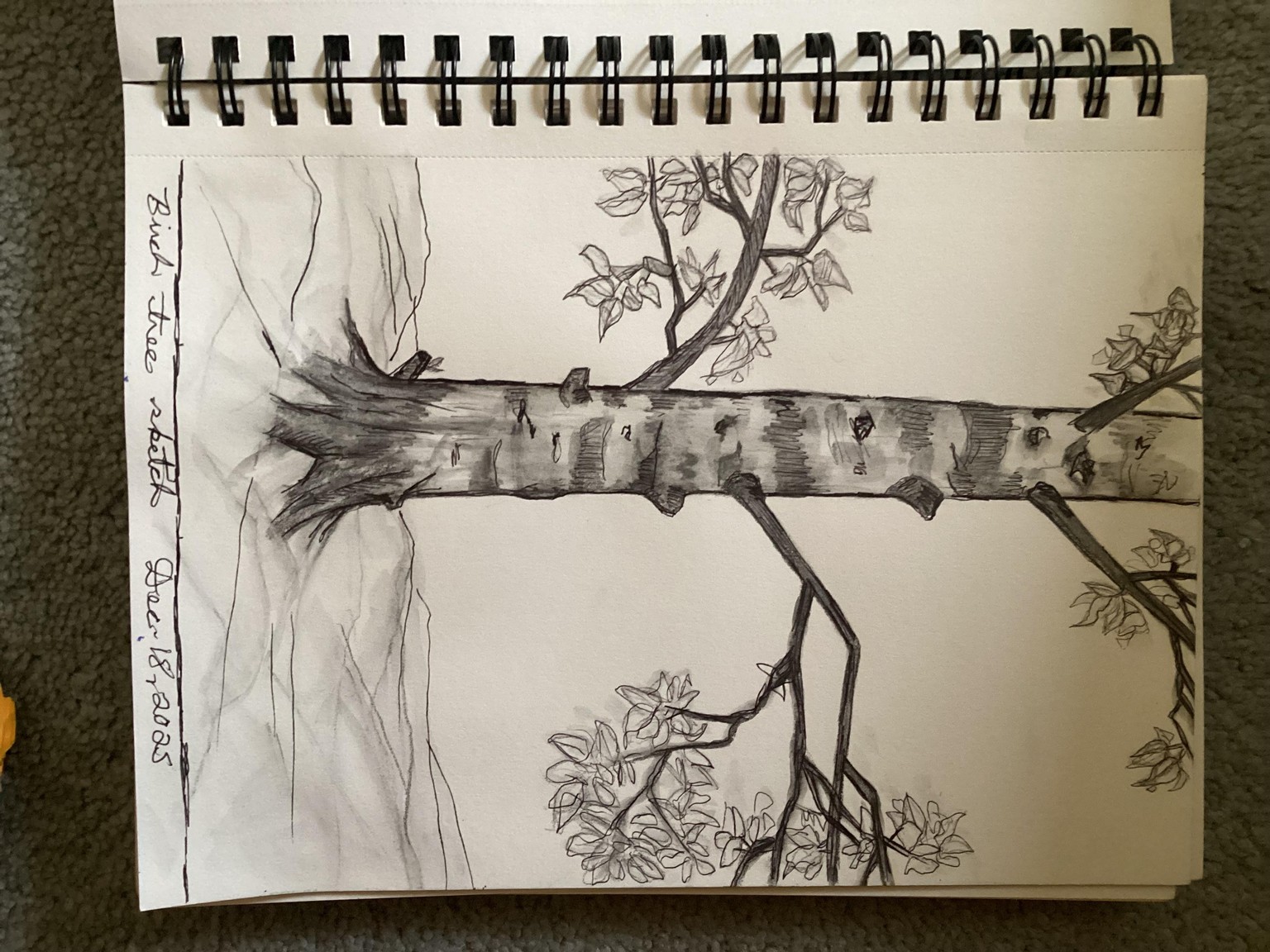 Sketches - image 1 - student project
