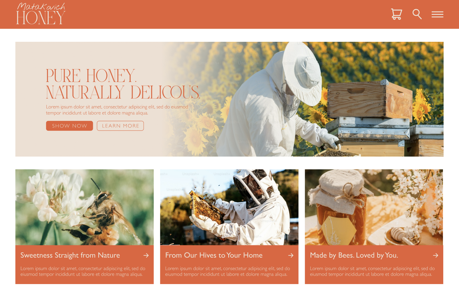 Matakovich Honey Wireframe - image 8 - student project