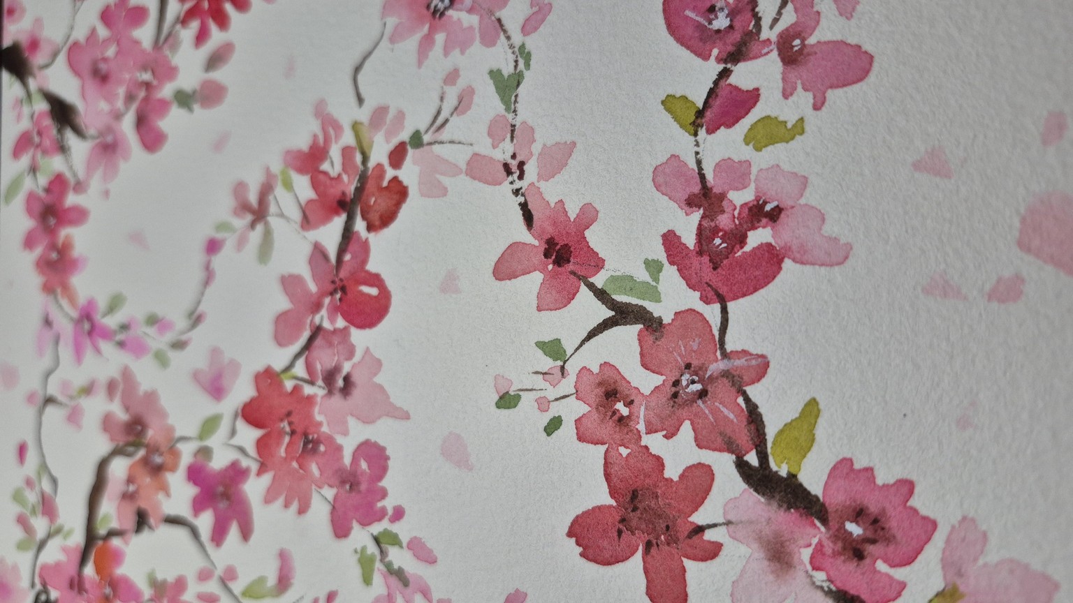 Watercolor Cherry Blossoms : 3 Fun and Easy Projects - image 2 - student project